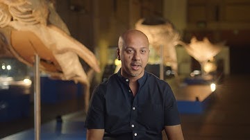 Eventbrite Video Edit