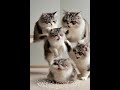Funny video #youtubeshortsvideosviral#gamingreels #gaming