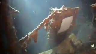Titanic Archive Project: James Cameron 2005 - Third Class Open Spaces mh-72604