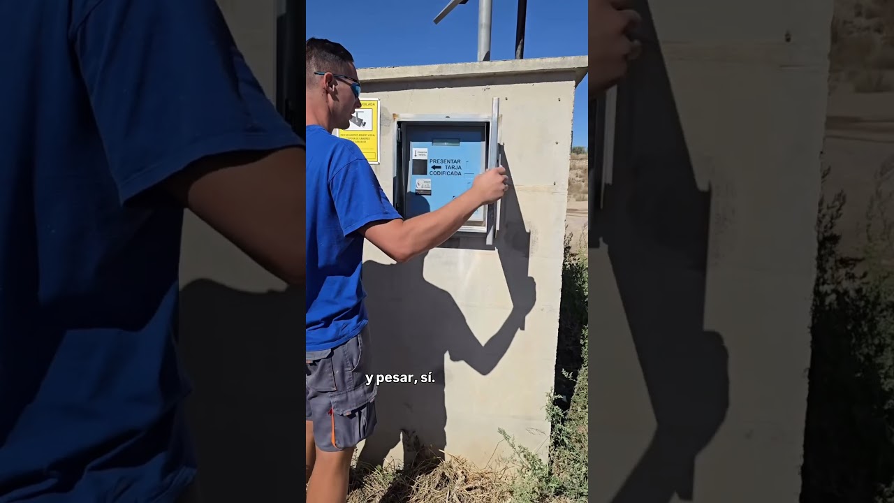¡Acompañame a pesar la uva!