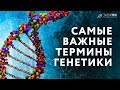 Самые важные термины генетики. Локусы и гены. Гомологичные хромосомы. Сцепление и кроссинговер.