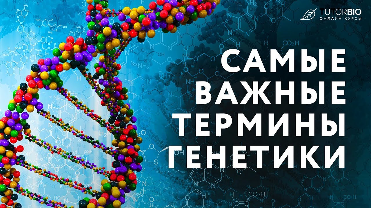 База генетики. Спортивная генетика. Lt генетика. ДНК армян. Гены счастья.