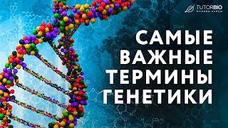 Самые важные термины генетики. Локусы и гены. Гомологичные хромосомы. Сцепление и кроссинговер.