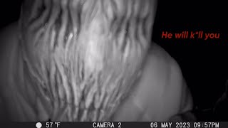 Deeply Disturbing Trail Cam Captures Compilation 2023