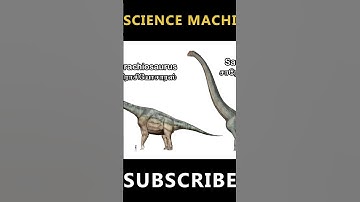 DINOSAURS SIZE COMPARISON - PART 7 #shorts