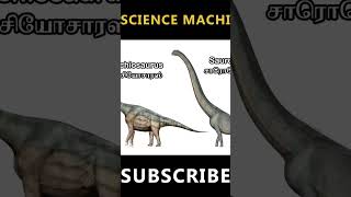 DINOSAURS SIZE COMPARISON - PART 7 #shorts