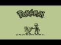 20 years of pokmon