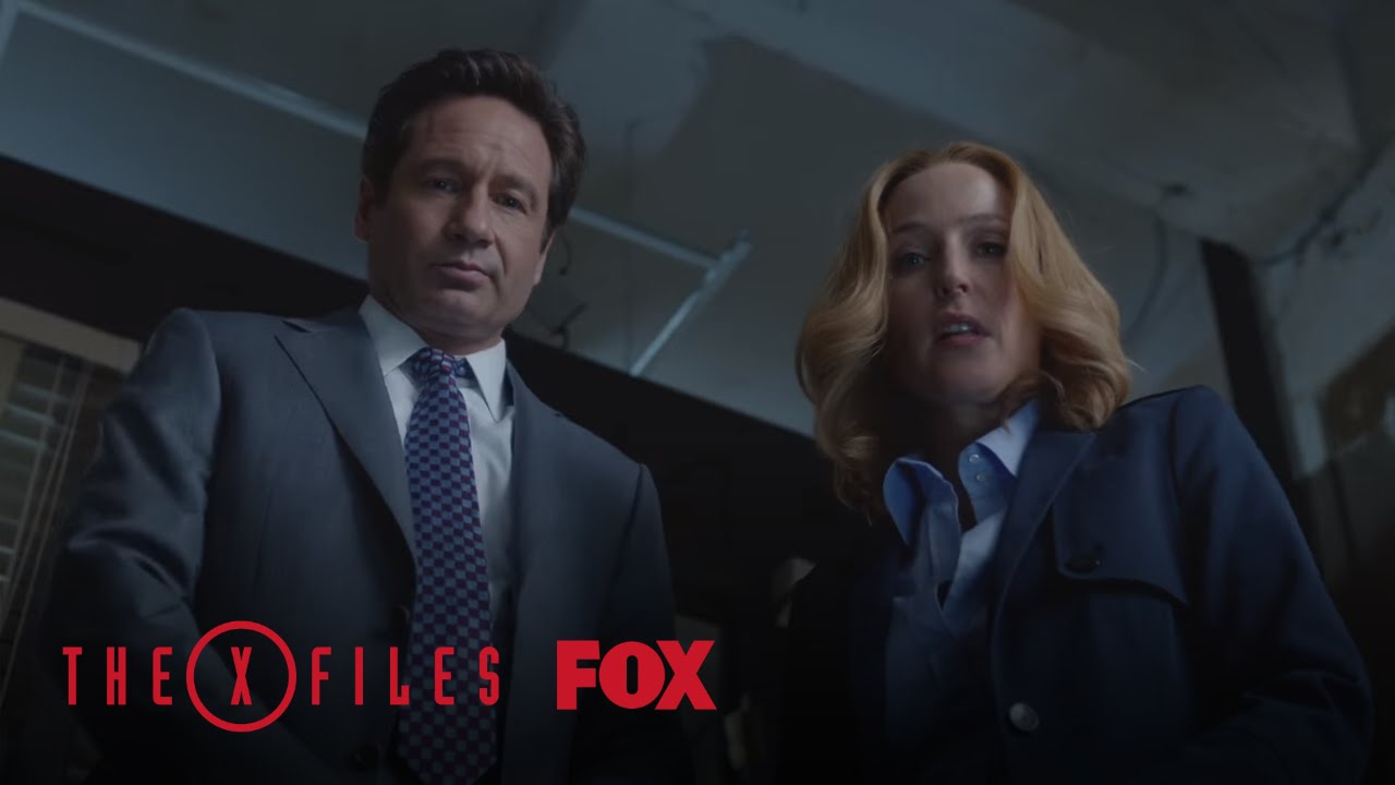 Scully And Mulder Arrive At The Crime Scene Season 10 Ep. 4 THE X