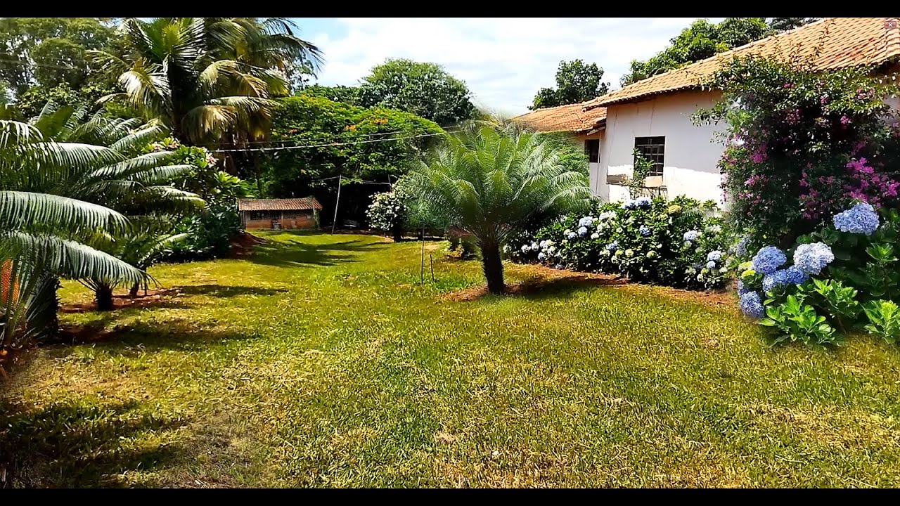 Lugar Lindo Ribeirão das Pedras a Historia de D Cleusa 83 anos - roda d agua árvores frutíferas