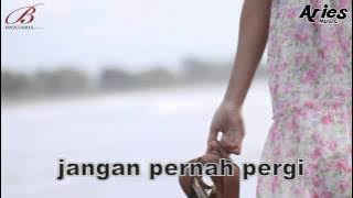 SANNY - Sayang Janganlah Pergi Lyrick