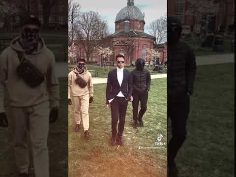 How Does A Mafia Boss React Gangster Status Shorts Gangster