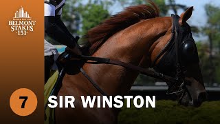 2019 Belmont Stakes Contender - Sir Winston