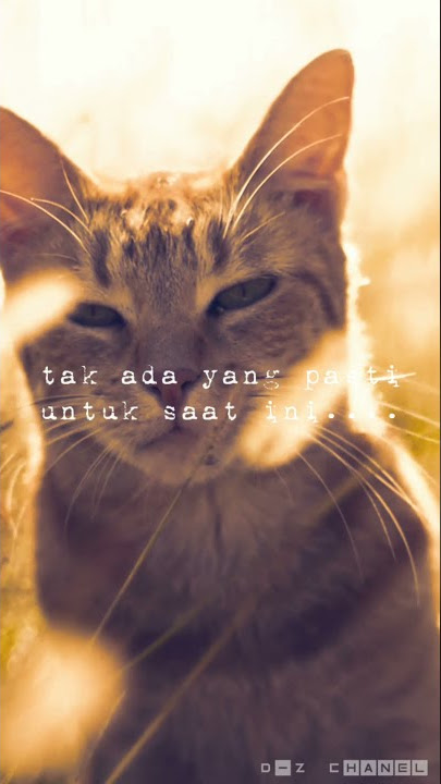Story WA sedih 30 detik - galau