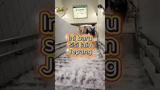 Tokyo Banjir Parah Sisi Tersembunyi Jepang Yang Mengejutkan Dunia