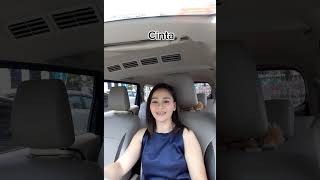 Cinta  Vina Panduwinata viana Mey Cover