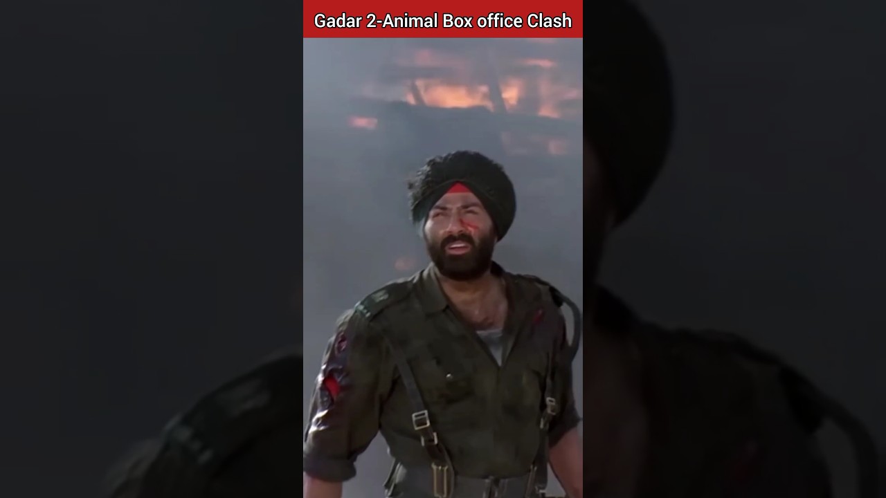 Gadar 2-Animal Box office Clash | Sunny Deol | Ranveer Kapoor 