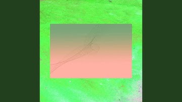 Pulsating Moods for Optimistic Sounds