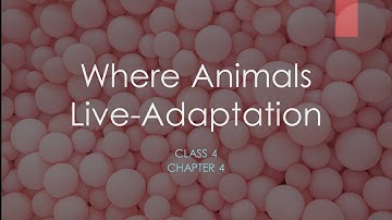 Chapter 4 Class 4 Where Animals Live - Adaptation Part 2