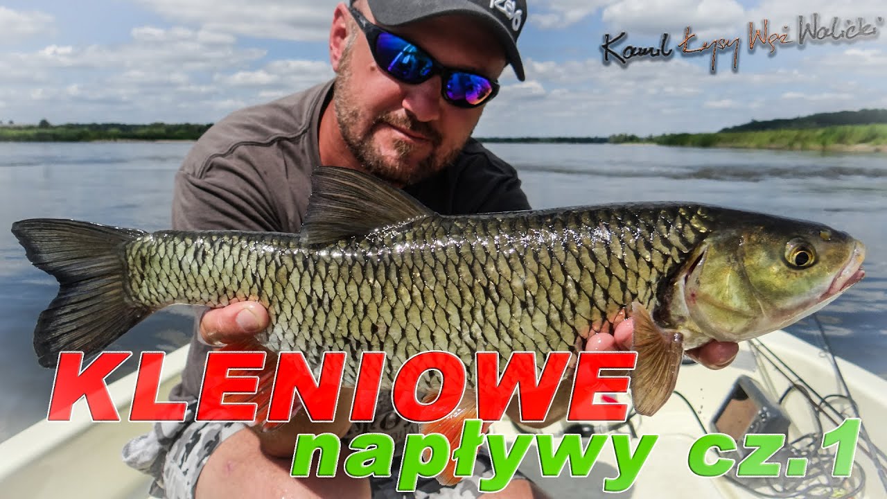 Jak złowić klenia cz. 1 / odc. 44