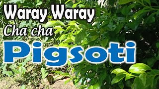 Pigsote Waray waray song with lyrics