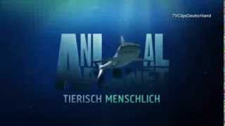 Animalplanet Ident Hai2015