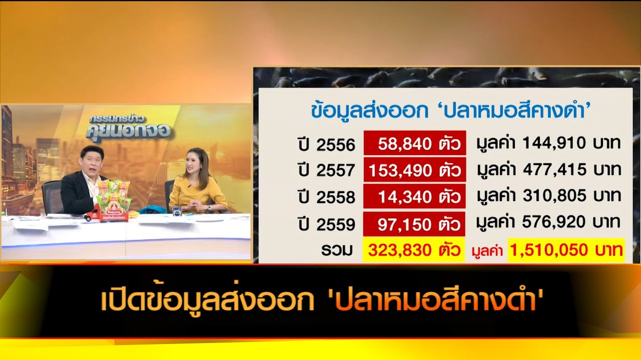 เปิดข้อมูลส่งออก 'ปลาหมอสีคางดำ'