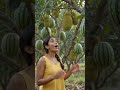 wow #trending #viral #shorts #youtubeshorts #viralvideo #short #youtube