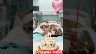 The Moment He Saw Her, He Cried! 😭 Cat&#39;s Emotional Reunion Before Surgery