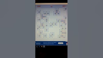 minesweeper bug
