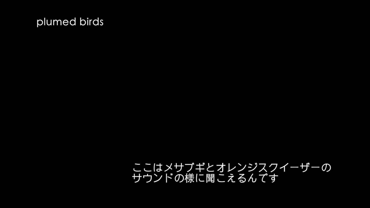 高中正義 プロ・エフェクト・サウンド シート・レコード付 高中正義 プロ・エフェクト・サウンド シート・レコード付