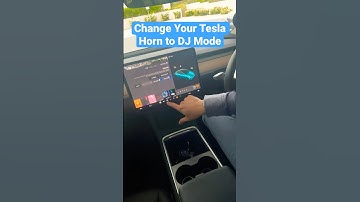 Change Your Tesla Horn