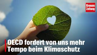 OECD fordert von uns mehr Tempo beim Klimaschutz | krone.tv NEWS