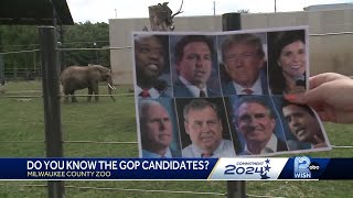 WISN 12 News asks voters if they could identify GOP presidential candidates