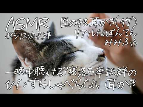 [ASMR]一晩中聴ける？喋らないでひたすら耳かきする音（匠の技耳かき・リアルな梵天・みみふぅ）[睡眠用耳かき/寝落ち率抜群/No Talking]
