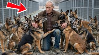 A Retired Cop Wanted One Dog Before Assisted Living — But He Took Them All Home