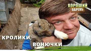 воняют ли кролики с крольчатами