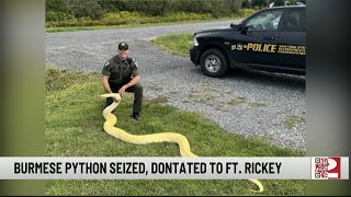 13-Foot Burmese Python Seized from New Hartford Home; Snake Donated to Rome Zoo