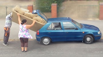 Humans are Getting Dumber