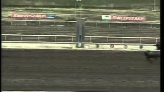 308-2012.Flv