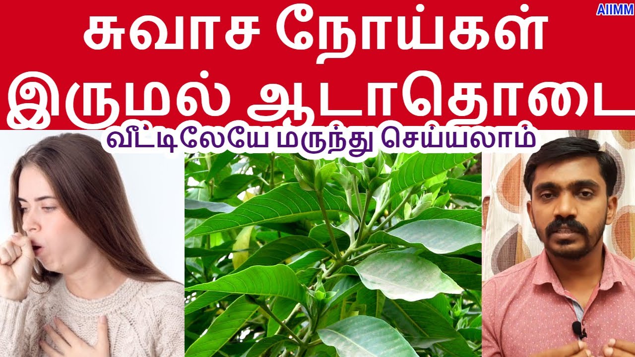 சுவாச மண்டலத்தின் ராஜா ஆடாதொடை, வீட்டிலேயே எளிமையாக மருந்து செய்யும் முறை ADATHODA MEDICAL USE TAMIL