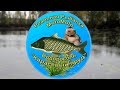 Как поймать Водоросоль на Карасёвом пруду [АРХИВ] | Реальная Рыбалка