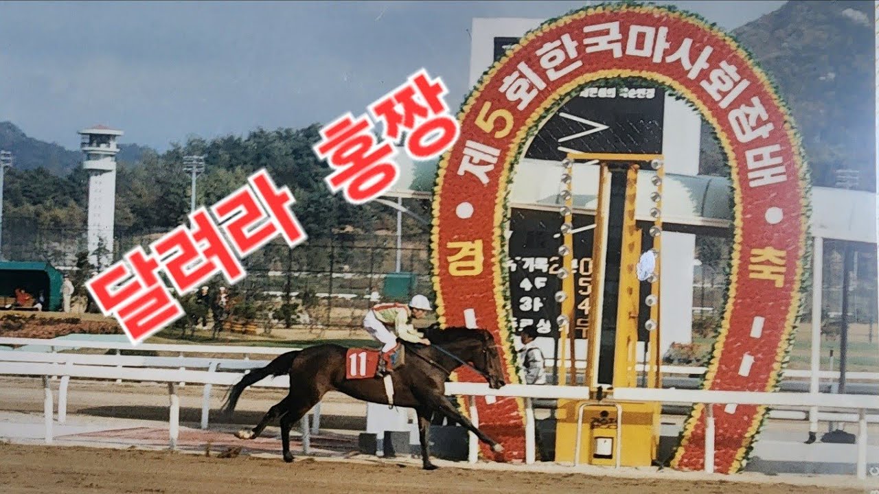 달려라 홍짱아! 신나게 유쾌하게 