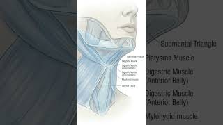 Advancements in Melasma Management and Patient Safety (June 15, 2026) #aesthetic #aestheticeducation