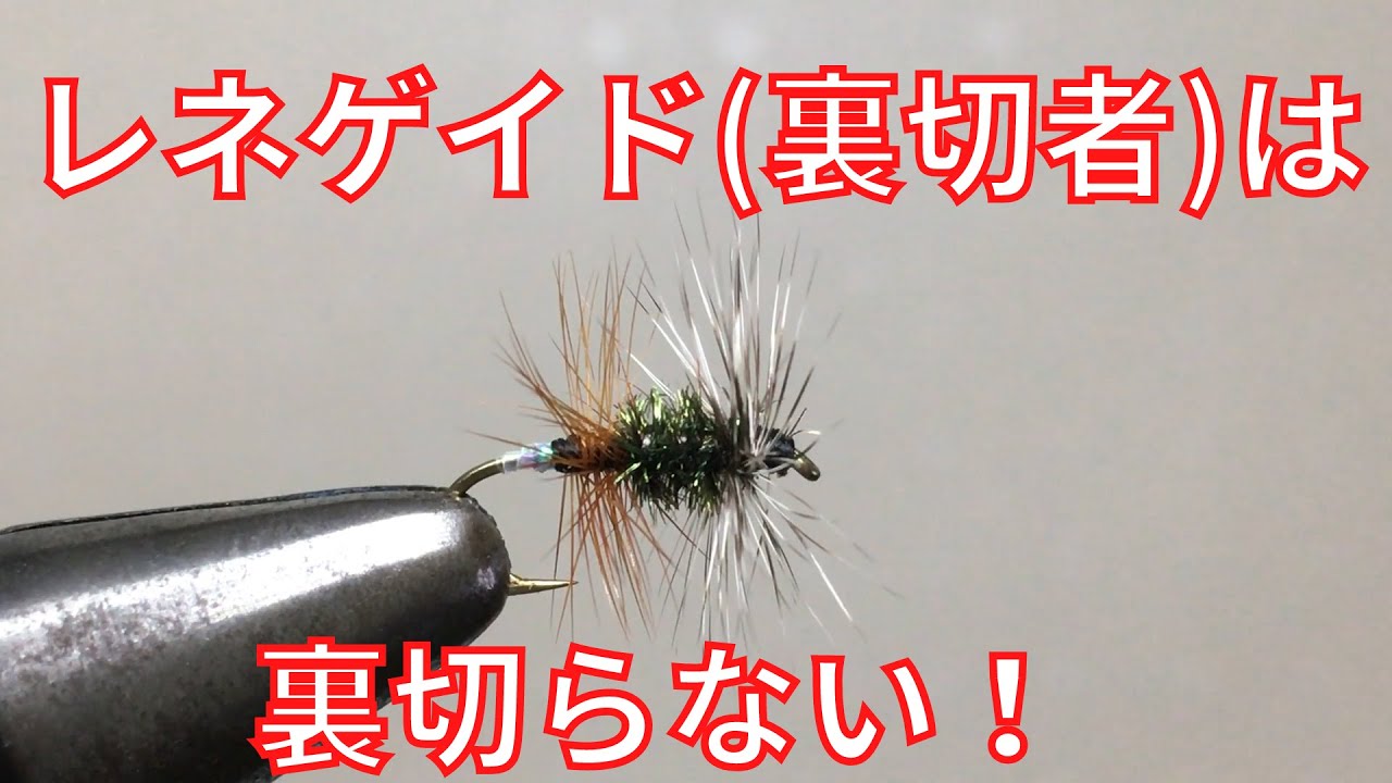 フライタイイング レネゲイドを巻いてみた 裏切者という名のこのフライは裏切らない Youtube