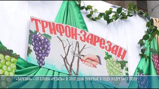 Трифонов День В Парканах Царь Виноградников И Болгарское Хоро