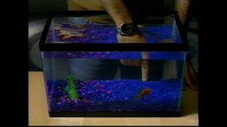 Commercial - AllState Free Quote (Aquarium) (2002)