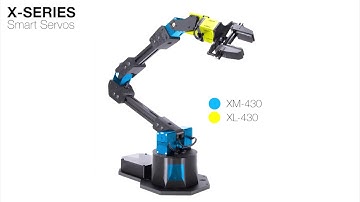 X-Series Robotic Arms - WidowX 200