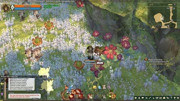 Collection Guide: Tenet Garden - Klaipeda