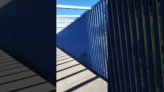Download Lagu Stone books on bench, bridge reminds me of RR DL only | Civic Center Park Sculptures, NB (1/11/2024) MP3