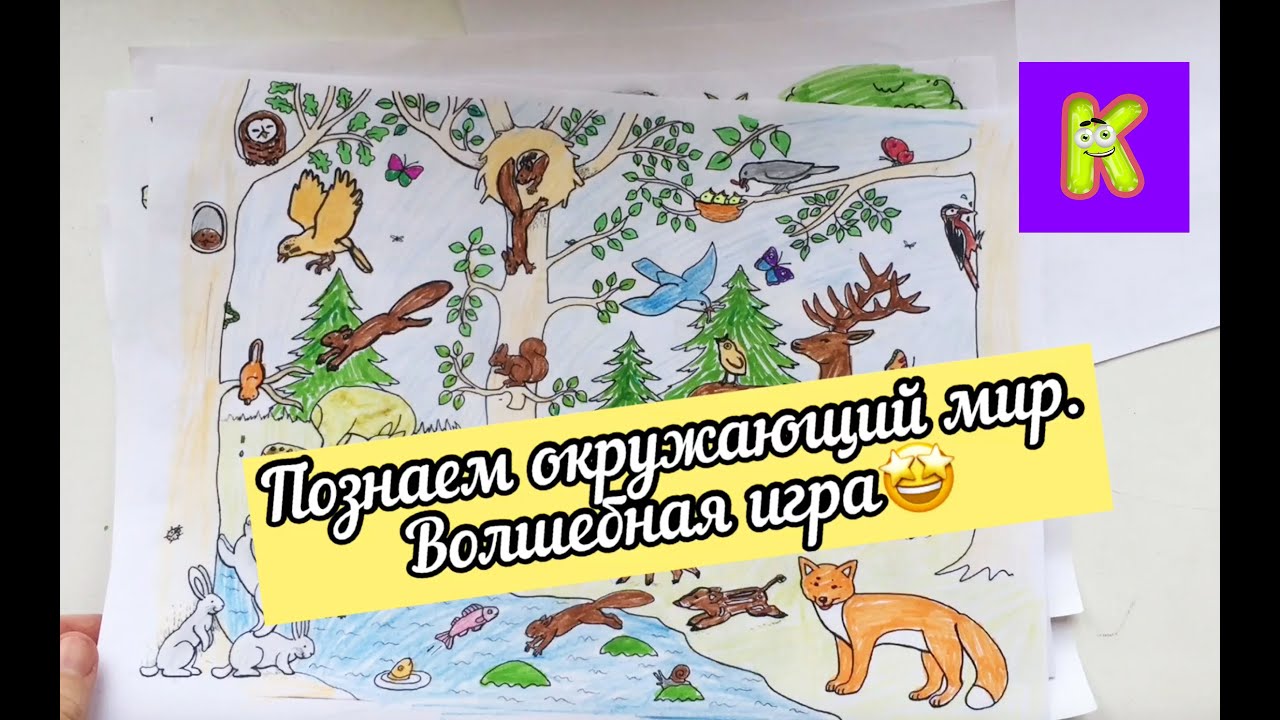 Изучаем лесных. Изучаем лесных